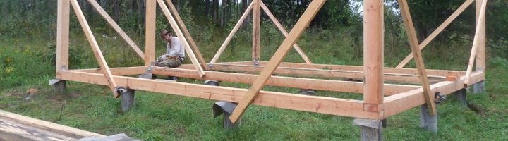 Фотография крыжовника