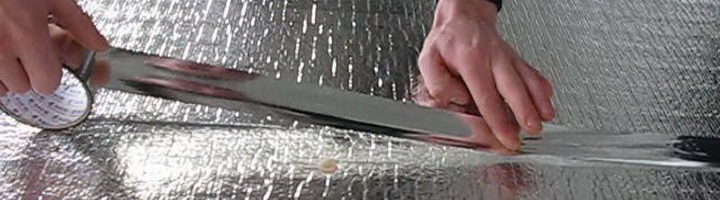 Фотография крыжовника