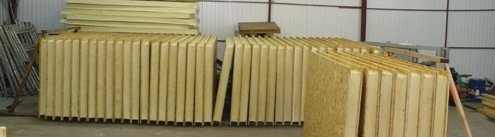 Фотография крыжовника