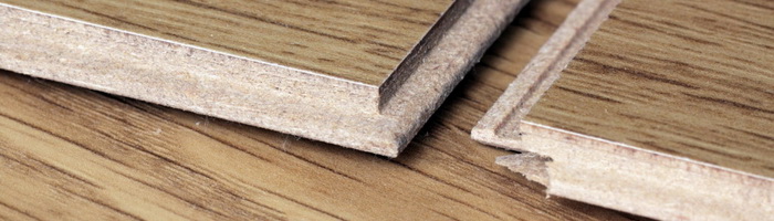 Фотография крыжовника