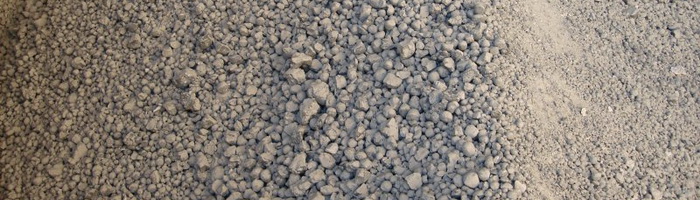 Фотография крыжовника