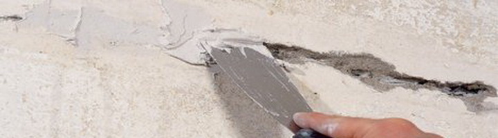 Фотография крыжовника