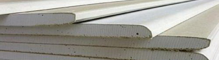 Фотография крыжовника