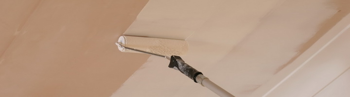 Фотография крыжовника