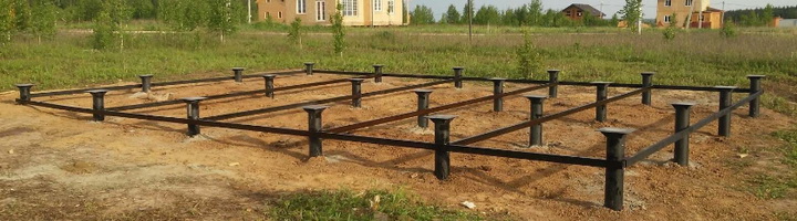 Фотография крыжовника